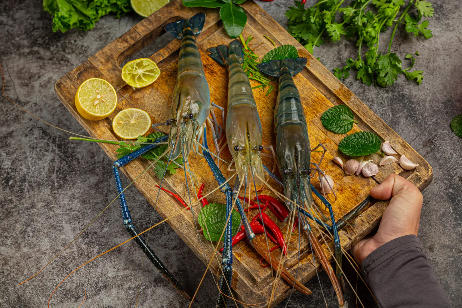 The Ultimate Guide to South Australian Crustaceans: Rock Lobster, Blue Swimmer Crab, and King Prawns